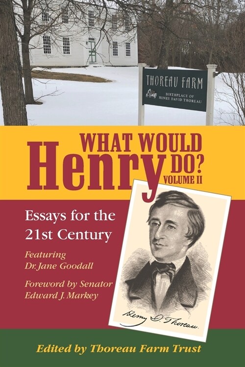 What Would Henry Do? Essays for the 21st Century, Volume II (Paperback)