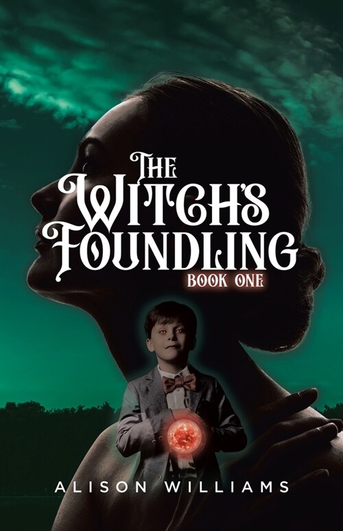 The Witchs Foundling (Paperback)