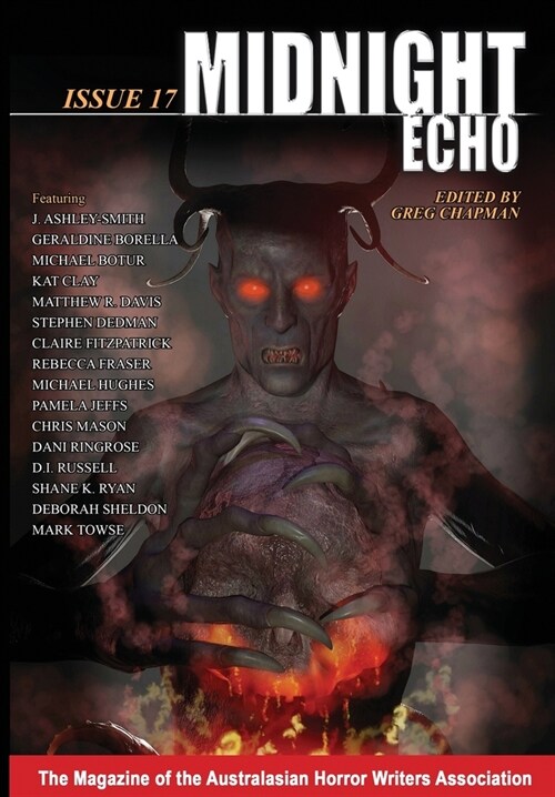 Midnight Echo 17 (Paperback)