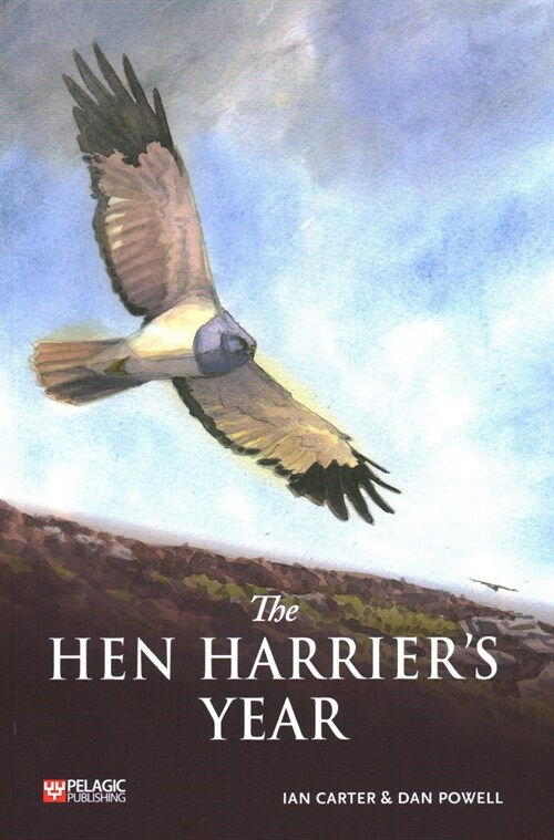 The Hen Harriers Year (Paperback)