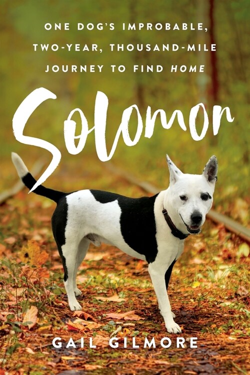 Solomon: One Dogs Improbable, Two-year, Thousand-mile Journey to Find Home (Paperback)