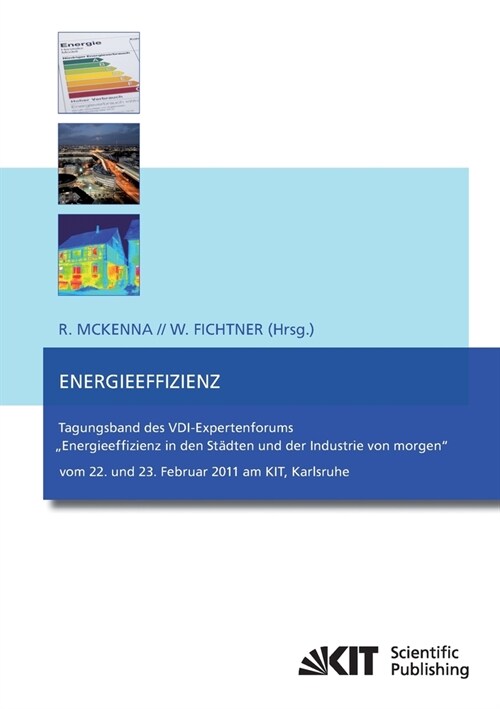 Energieeffizienz: Tagungsband des VDI-Expertenforums (Paperback)