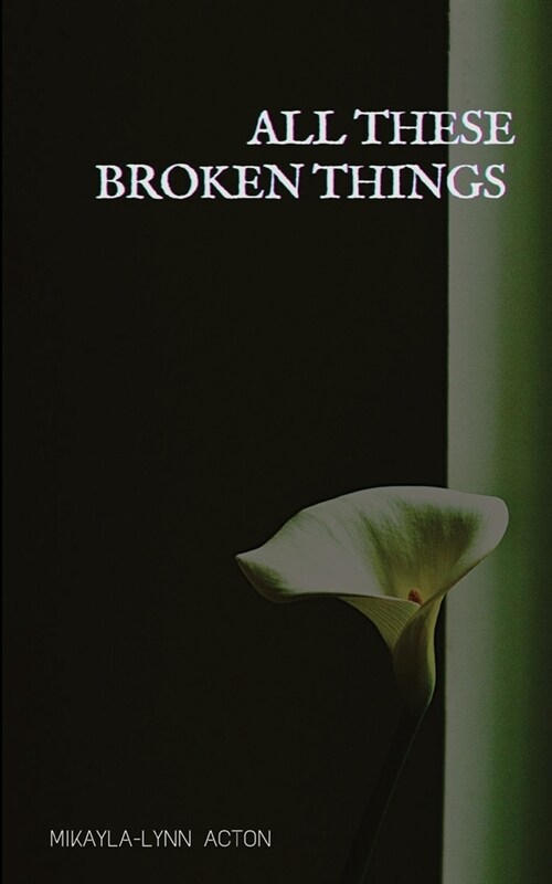 All These Broken Things (Paperback)