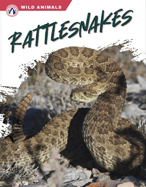 Rattlesnakes (Paperback)