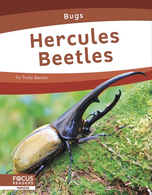 Hercules Beetles (Library Binding)