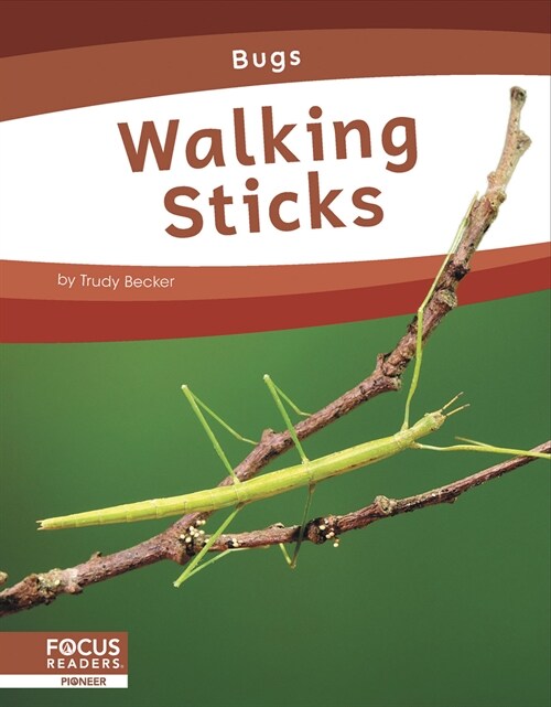 Walking Sticks (Library Binding)
