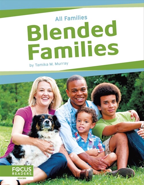 Blended Families (Paperback)