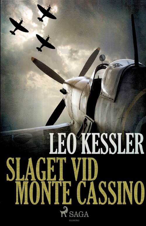 Slaget vid Monte Cassino (Paperback)