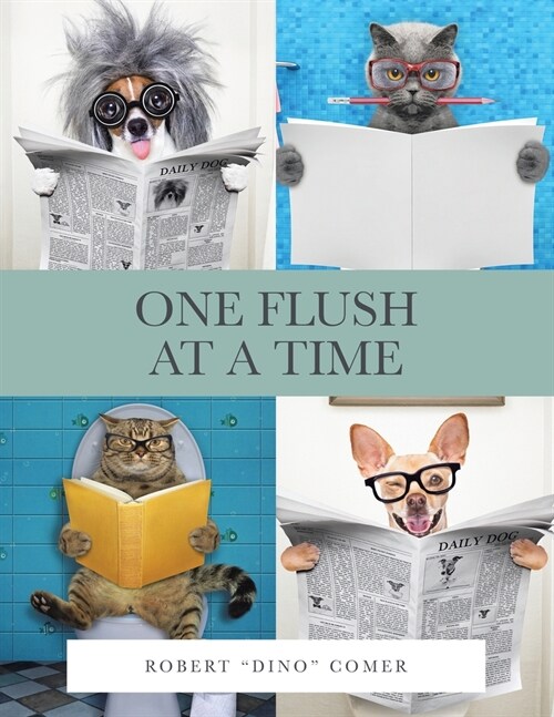 One Flush at a Time (Paperback)