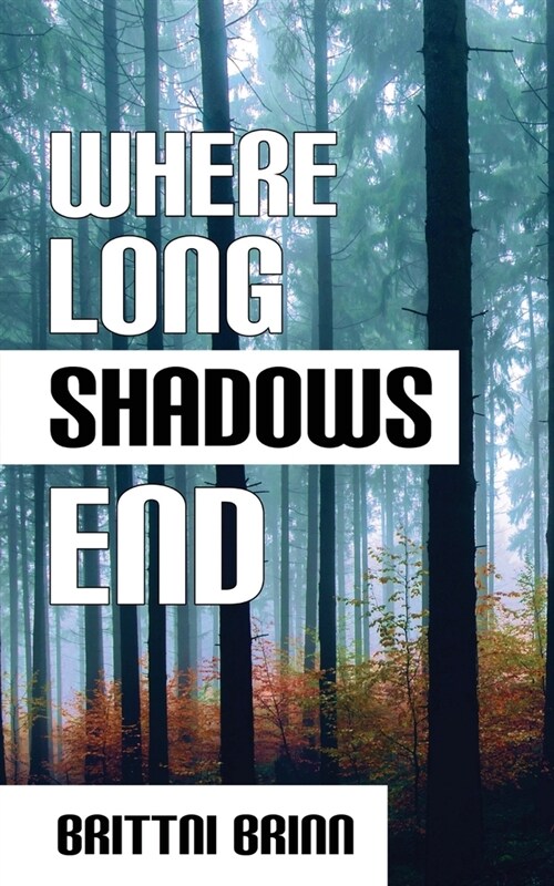 Where Long Shadows End (Paperback)