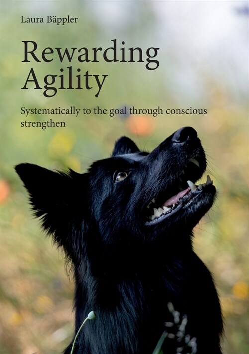 Rewarding Agility: Systematically to the goal through conscious strengthen (Paperback)