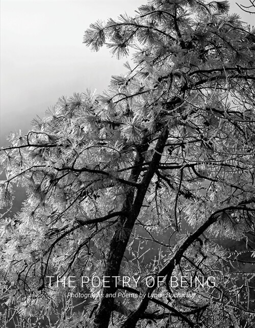 The Poetry of Being: Photographs and Haikus (Hardcover)