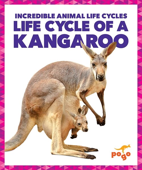 Life Cycle of a Kangaroo (Paperback)