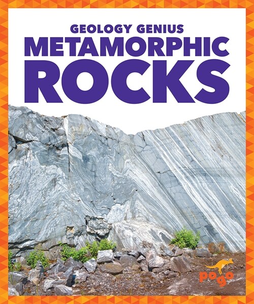 Metamorphic Rocks (Paperback)