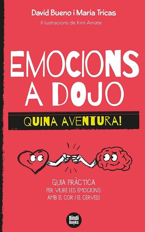 EMOCIONS A DOJO. QUINA AVENTURA! (Paperback)