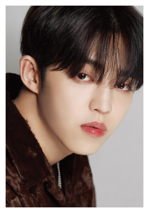 DICON D’FESTA SEVENTEEN 1 : S.COUPS