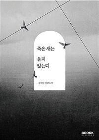 죽은 새는 울지 않는다 :김설단 장편소설 