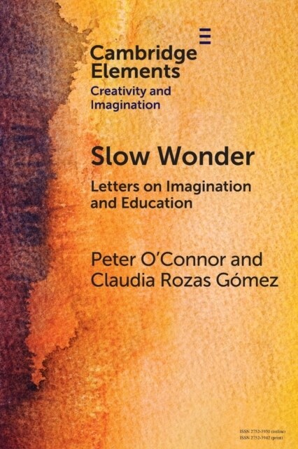 Slow Wonder : Letters on Imagination and Education (Paperback)