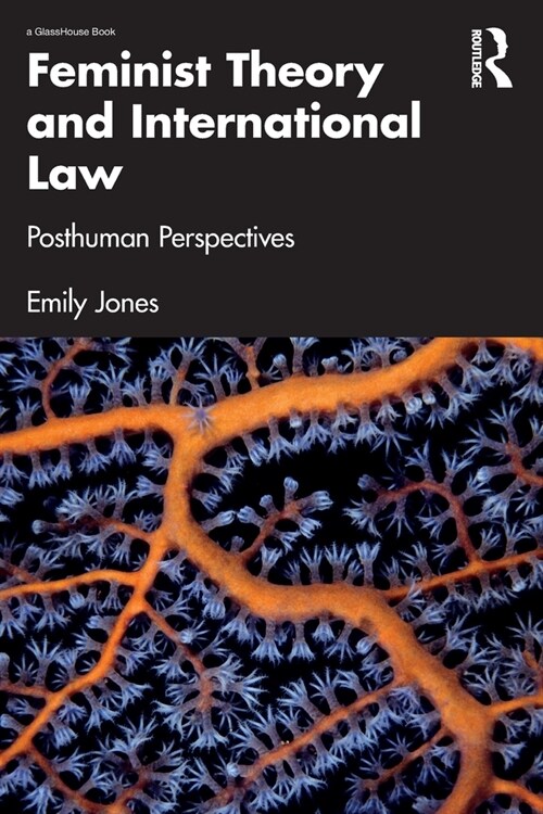 Feminist Theory and International Law : Posthuman Perspectives (Paperback)