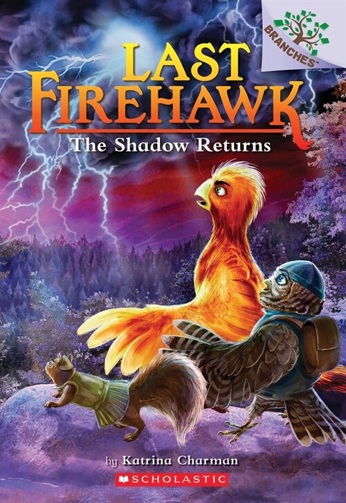 The Last Firehawk #12 : The Shadow Returns (Paperback)