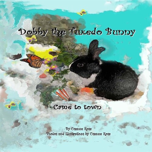 Dobby the Tuxedo Bunny Came to town (Paperback)