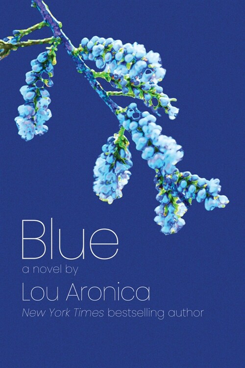 Blue: A Novel of Trial and Wonder (Hardcover)