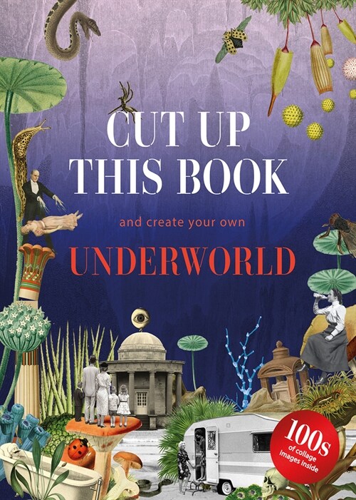 Cut Up This Book and Create Your Own Underworld (Paperback)