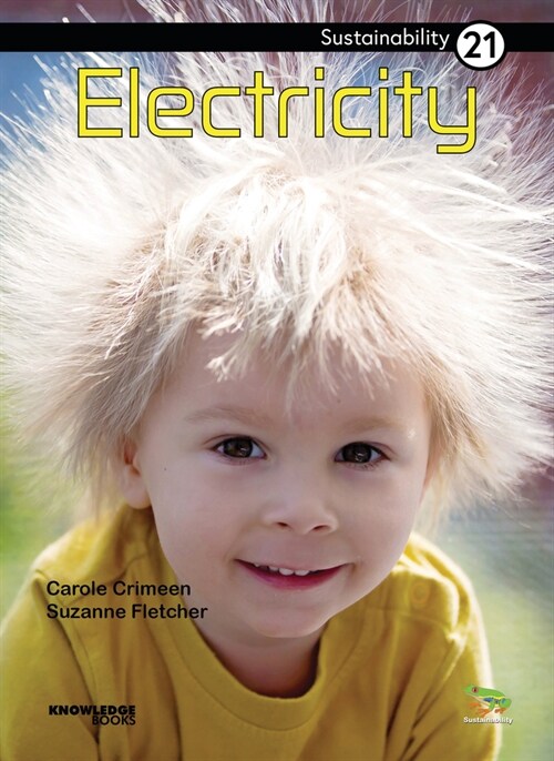 Electricity: Book 21 (Paperback)