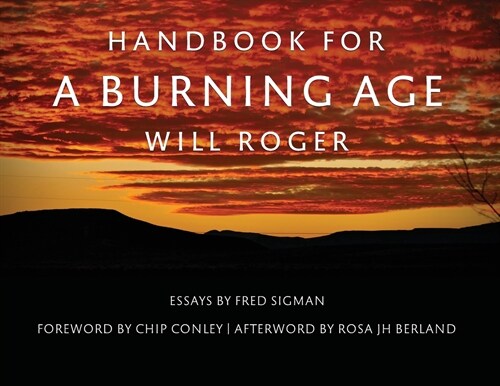 Handbook For A Burning Age (Paperback)