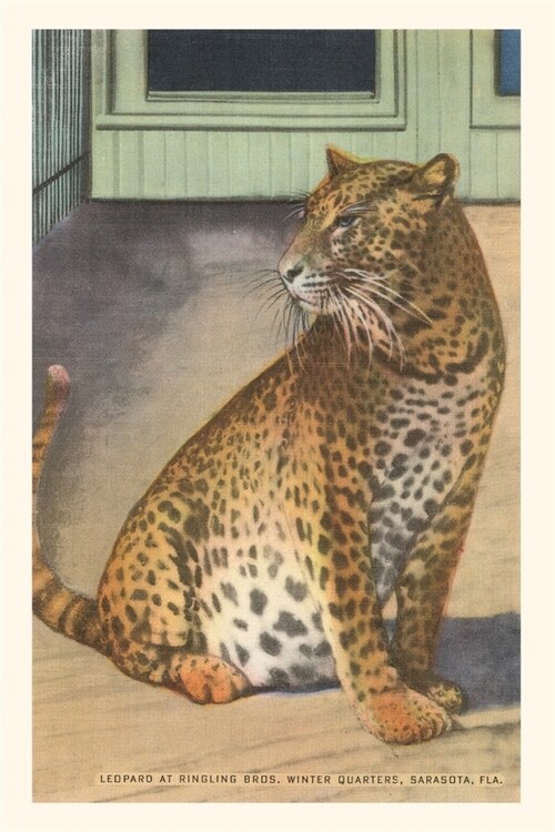 Vintage Journal Leopard, Sarasota, Florida (Paperback)