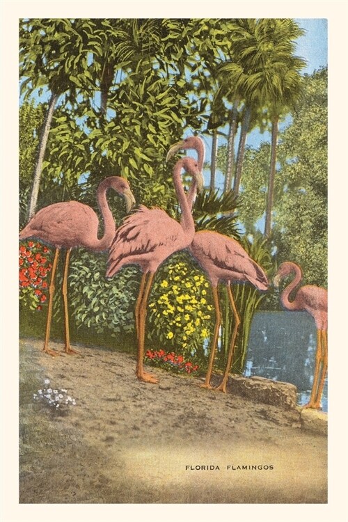Vintage Journal Flamingos, Florida (Paperback)