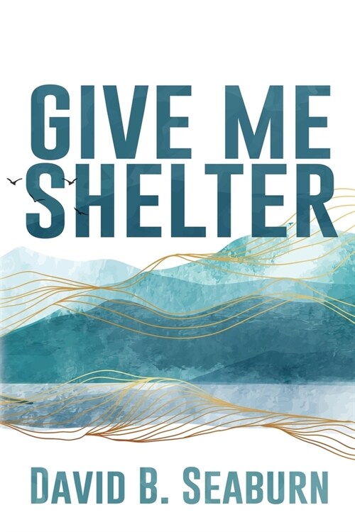 Give Me Shelter (Paperback)