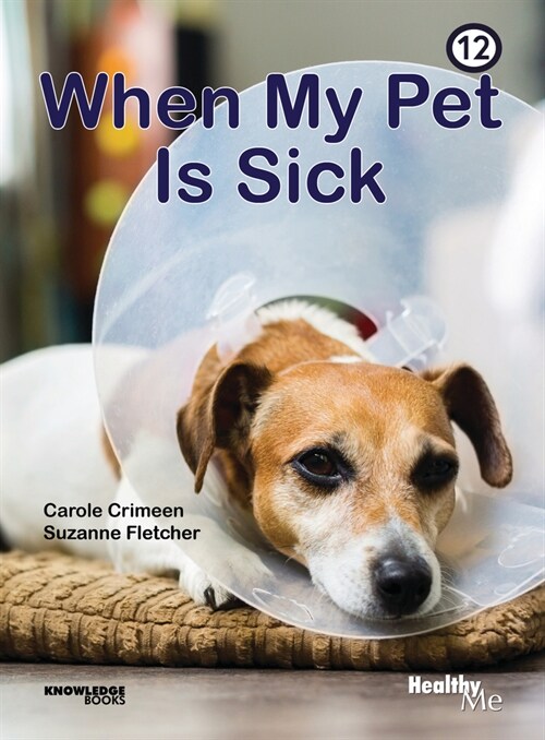 When My Pet Is Sick: Book 12 (Paperback)