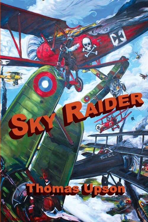 Sky Raider (Paperback)