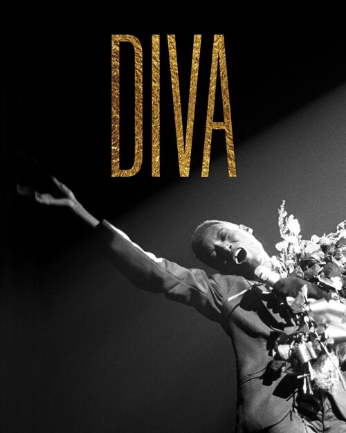 Diva (Hardcover)