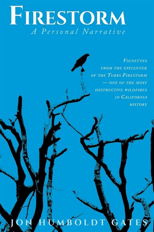 Firestorm: Vignettes From The Epicenter of the Tubbs Firestorm - One of the Most Destructive Wildfires in California History (Paperback)