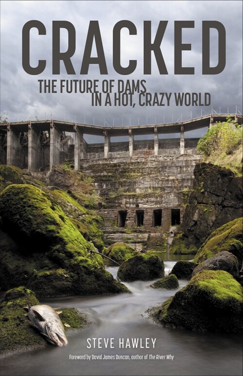 Cracked: The Future of Dams in a Hot, Chaotic World (Hardcover)