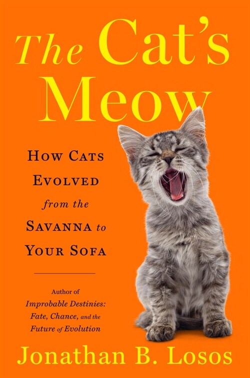 The Cats Meow: How Cats Evolved from the Savanna to Your Sofa (Hardcover)