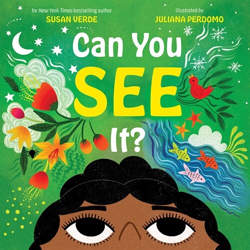 Can You See It? (Hardcover)