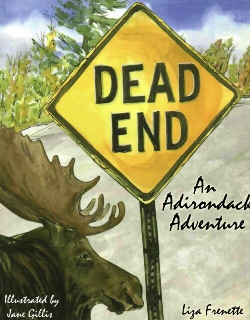 Dead End: An Adrondack Adventure (Paperback)