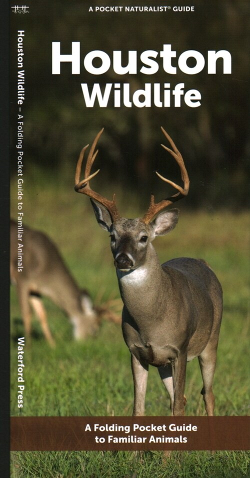 Houston Wildlife: A Folding Pocket Guide to Familiar Animals (Paperback)