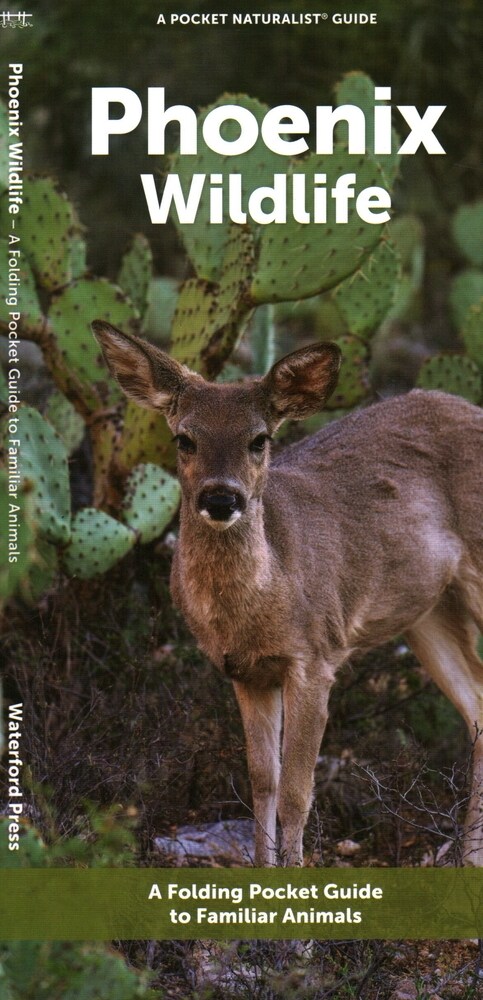 Phoenix Wildlife: A Folding Pocket Guide to Familiar Animals (Paperback)