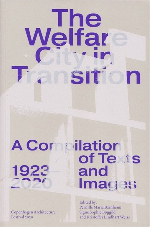 The Welfare City in Transition (Paperback)