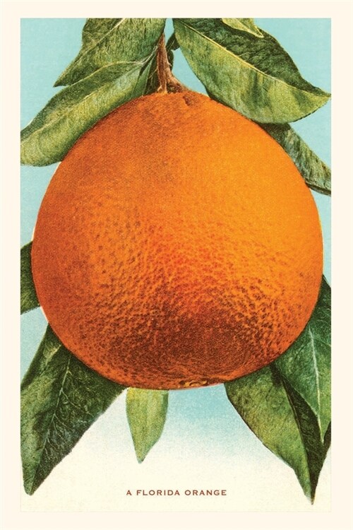 Vintage Journal Florida Orange (Paperback)