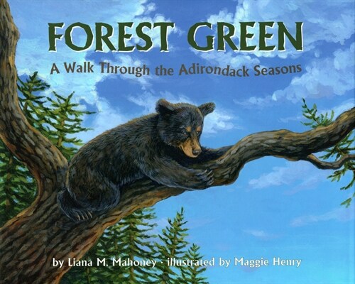 Forest Green: A Walk Through the Adirondack Seasons (Hardcover)