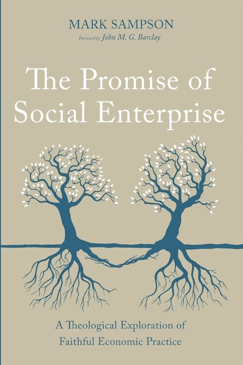 The Promise of Social Enterprise: A Theological Exploration of Faithful Economic Practice (Paperback)