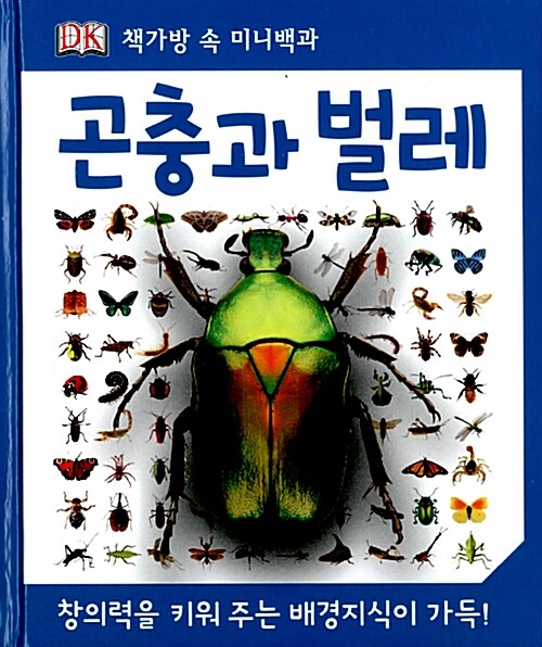 [중고] 곤충과 벌레