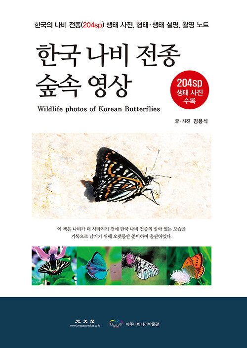 한국 나비 전종 숲속 영상