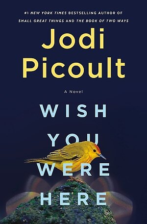 Wish You Were Here (Paperback)