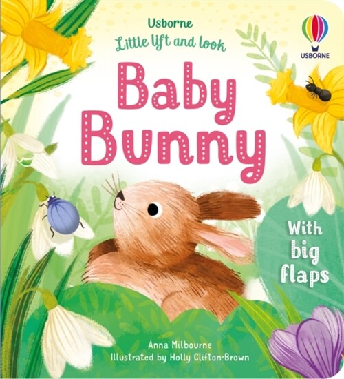 Little Lift and Look Baby Bunny (Board Book)